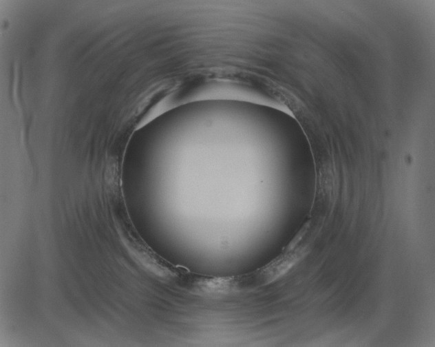 X0000082700092200702091733