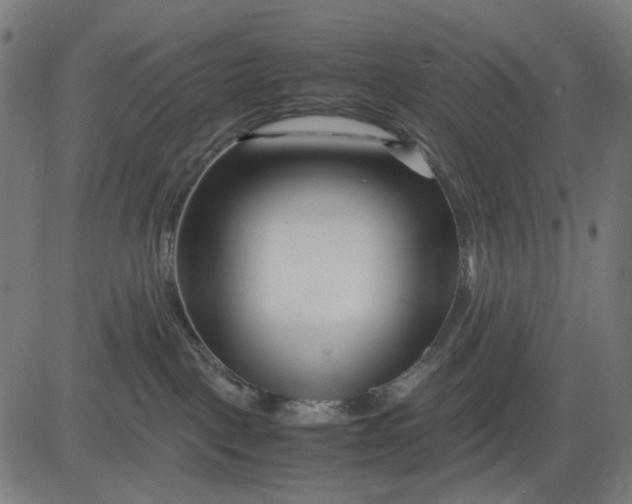 X0000082700093200702091733