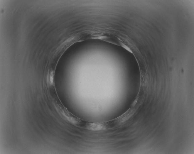 X0000082700095200702091733