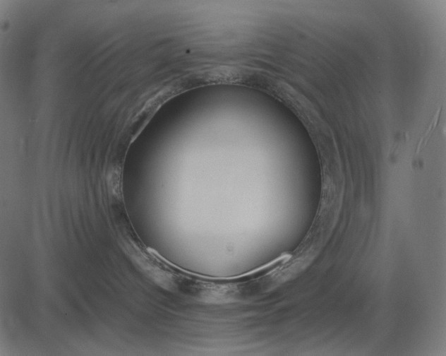 X0000082700096200702091733