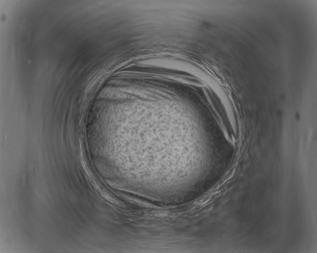 X0000082700097200702091732