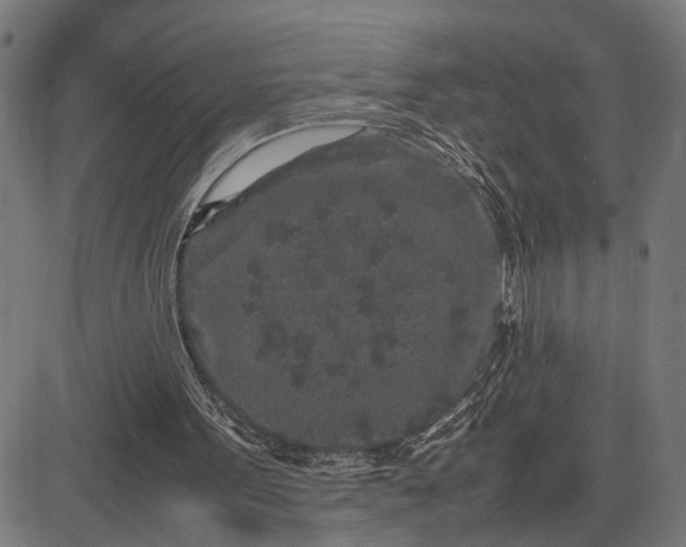 X0000082700099200702091732