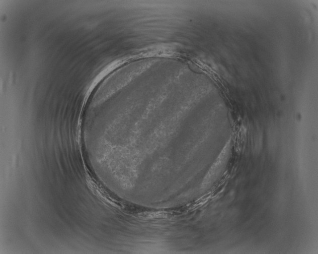 X0000082700100200702091732