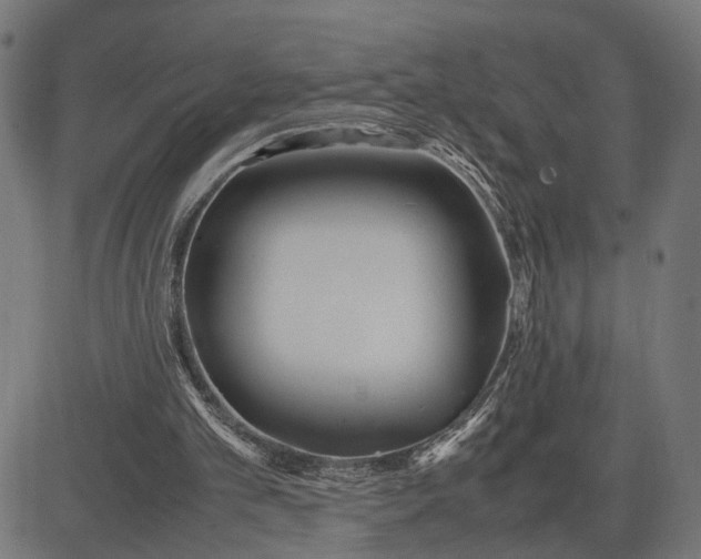 X0000082700101200702091732