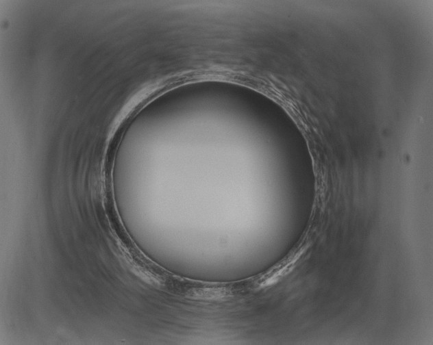 X0000082700102200702091732