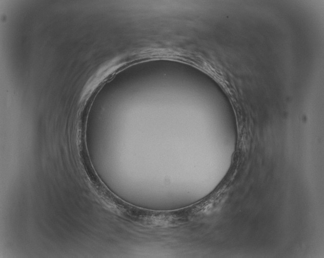 X0000082700103200702091732