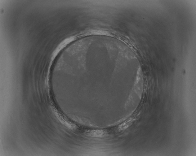 X0000082700104200702091732