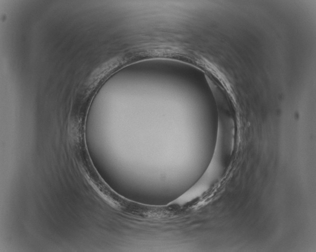 X0000082700105200702091732