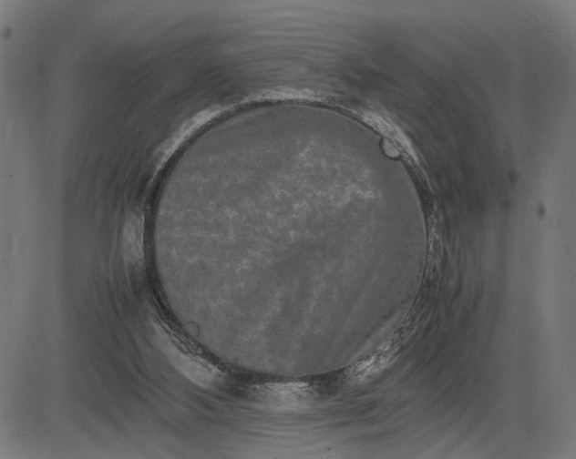 X0000082700108200702091732