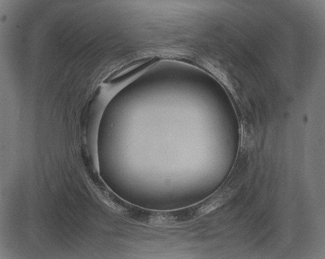 X0000082700109200702091732