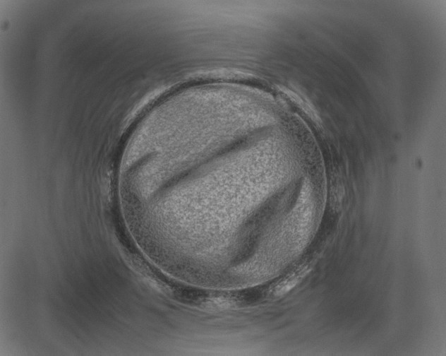 X0000082700111200702091732