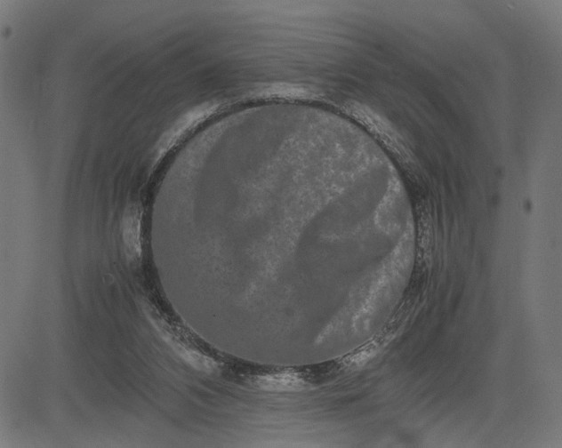 X0000082700112200702091732