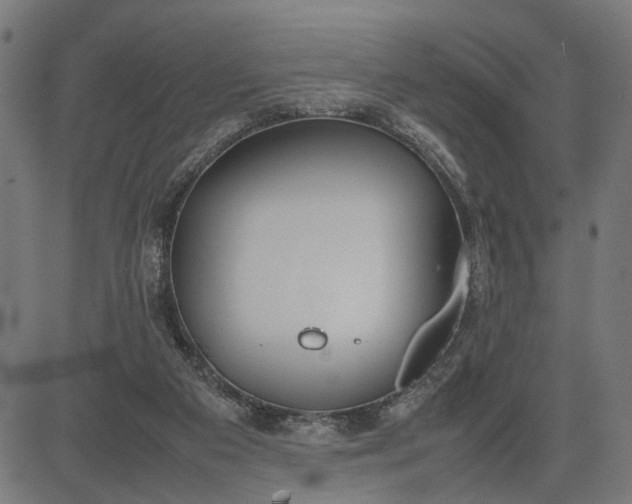 X0000082700113200702091732