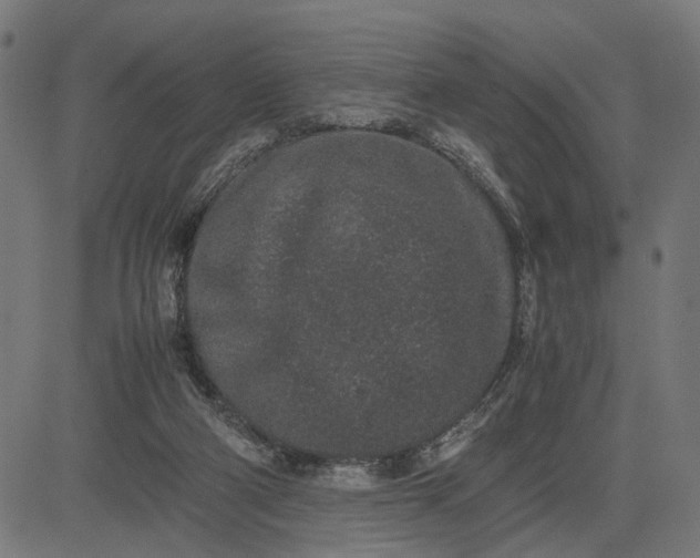 X0000082700114200702091732