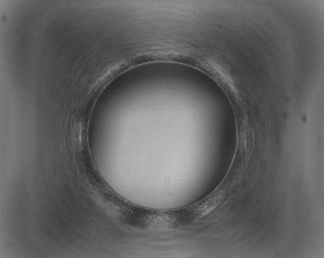 X0000082700115200702091732