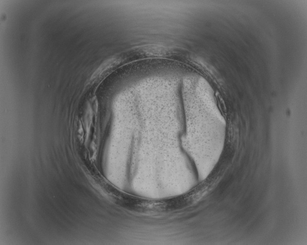 X0000082700117200702091732