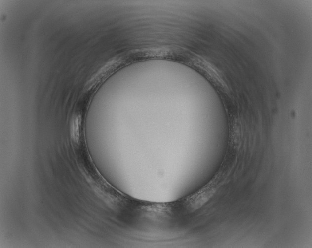 X0000082700118200702091732