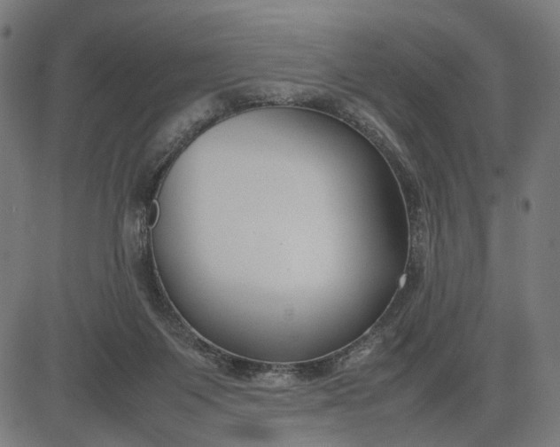 X0000082700119200702091732