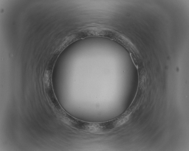 X0000082700121200702091732