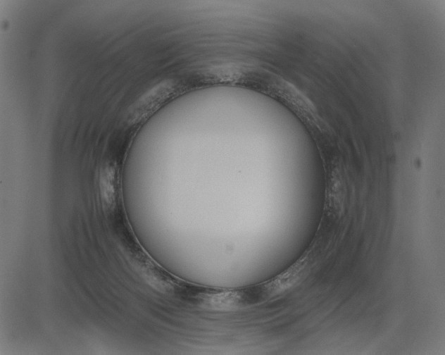 X0000082700122200702091732