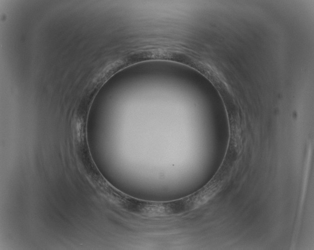 X0000082700123200702091732