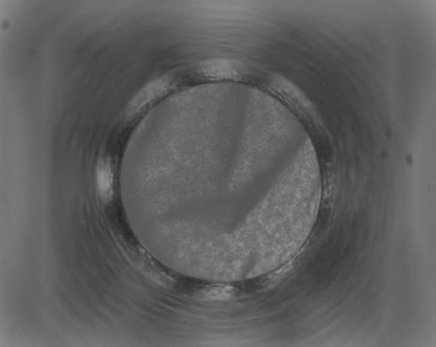 X0000082700124200702091732