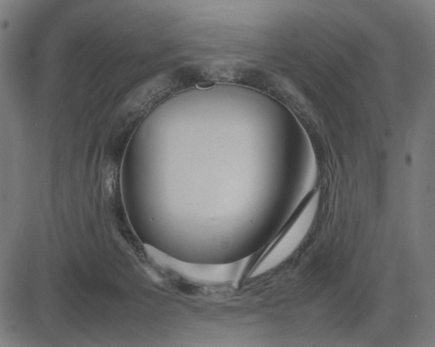 X0000082700125200702091732