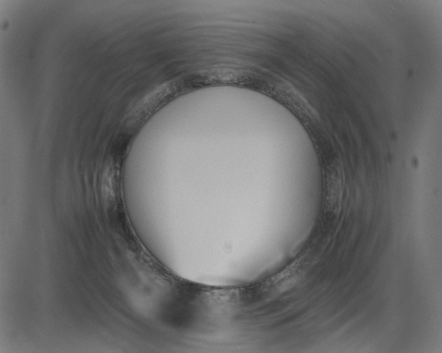 X0000082700126200702091732