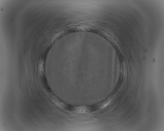 X0000082700127200702091732