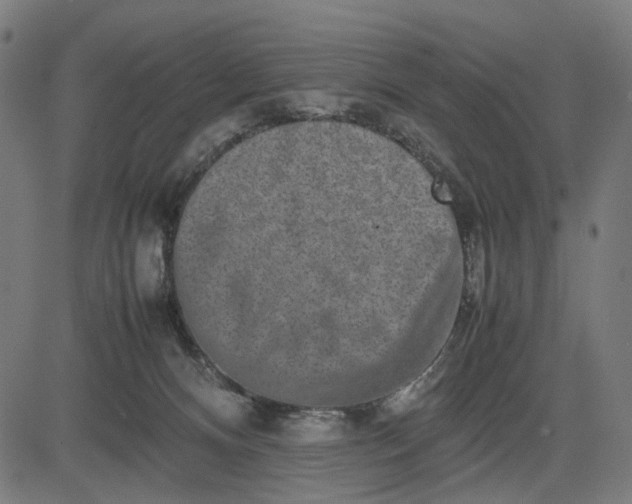 X0000082700128200702091732