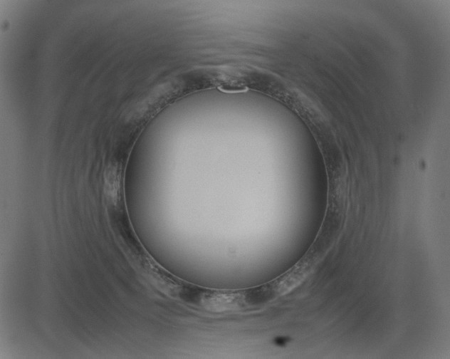 X0000082700129200702091732