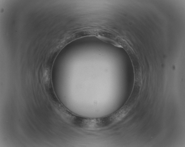 X0000082700131200702091732