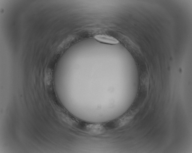 X0000082700133200702091732