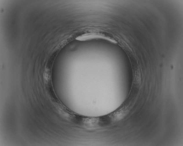 X0000082700135200702091732