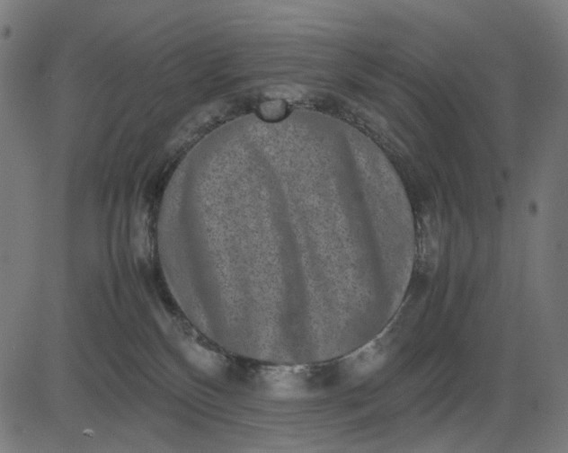 X0000082700136200702091732