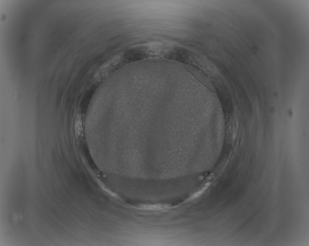 X0000082700137200702091732