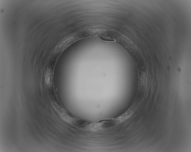 X0000082700138200702091732