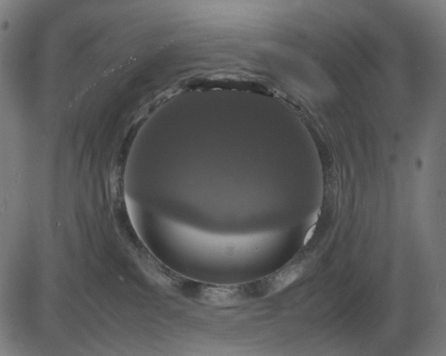 X0000082700139200702091732