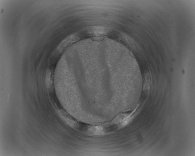 X0000082700140200702091732