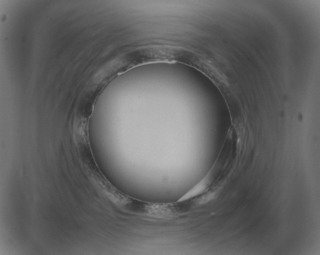 X0000082700141200702091732