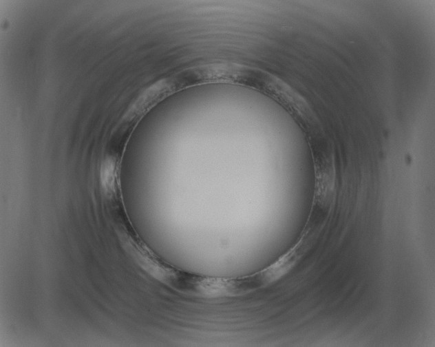 X0000082700142200702091732