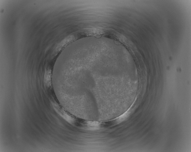 X0000082700144200702091732