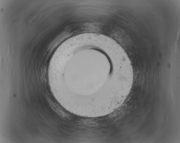 X0000082700146200702091731