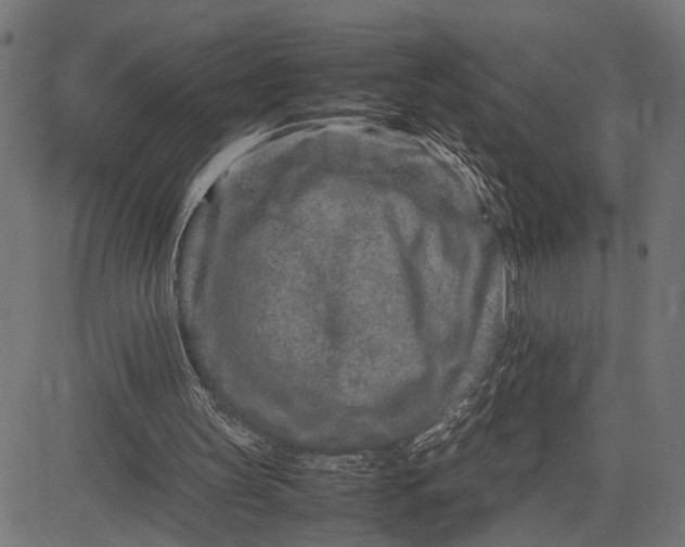 X0000082700147200702091731