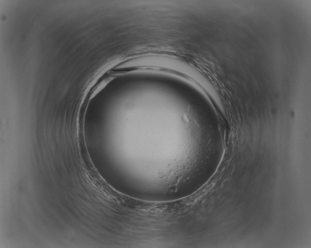 X0000082700148200702091731