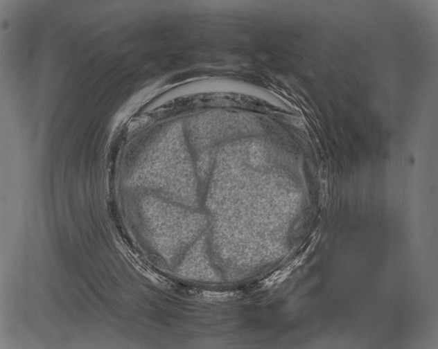 X0000082700149200702091731