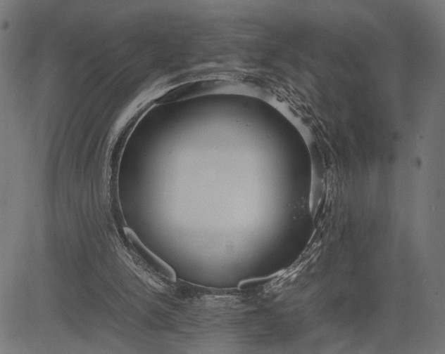 X0000082700150200702091731