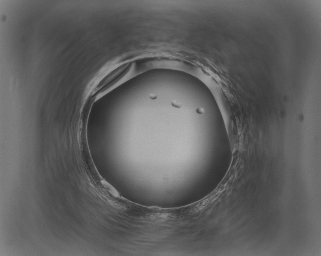 X0000082700152200702091731