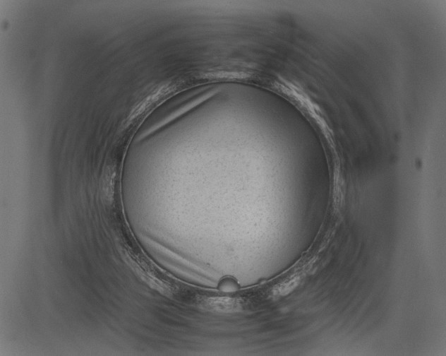 X0000082700153200702091731