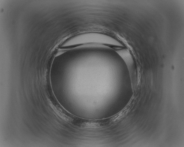 X0000082700154200702091731